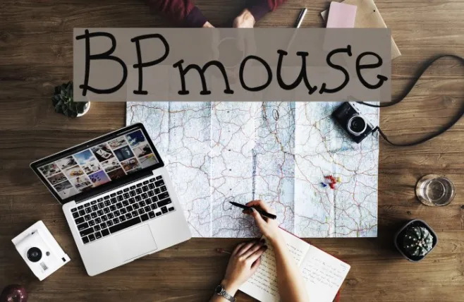 BPmouse Example 2
