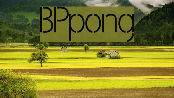 BPpong Example 1