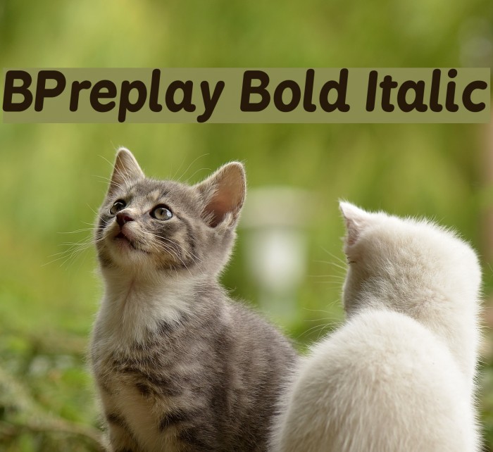 BPreplay Bold Italic Font examples