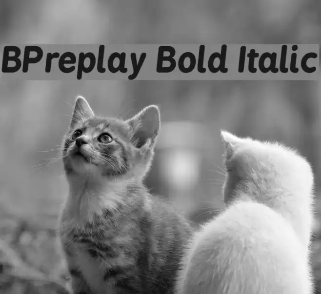 BPreplay Bold Italic Font examples