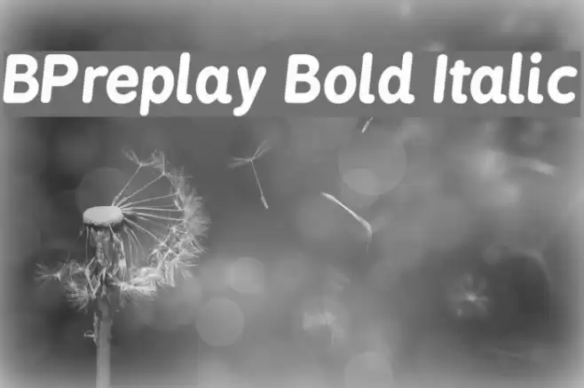 BPreplay Bold Italic Font examples