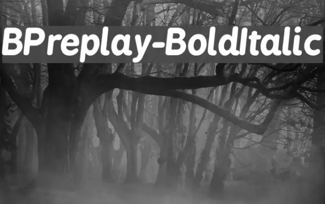 BPreplay-BoldItalic Polices examples