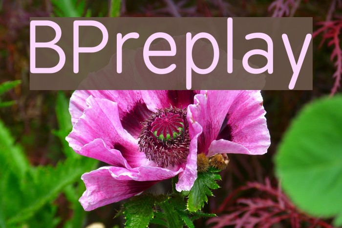 BPreplay フォント examples