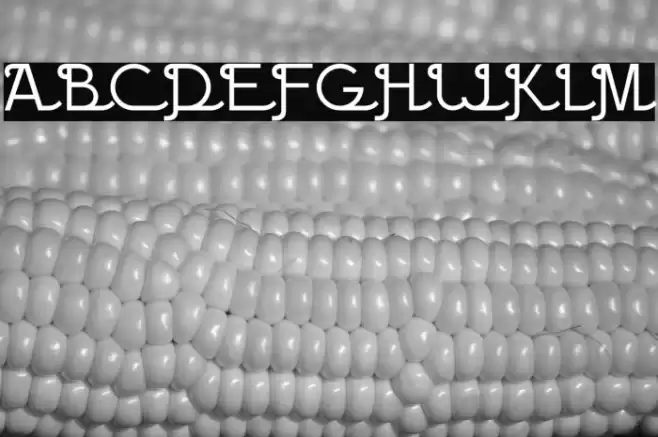 BPscript Font examples