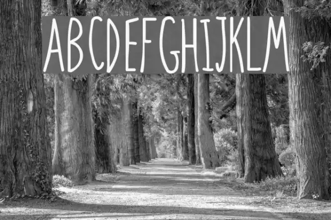 BPtall Font examples