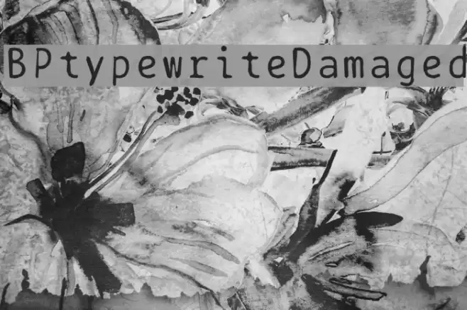 BPtypewriteDamaged Font examples