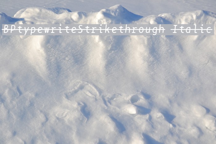 BPtypewriteStrikethrough Italic Font examples
