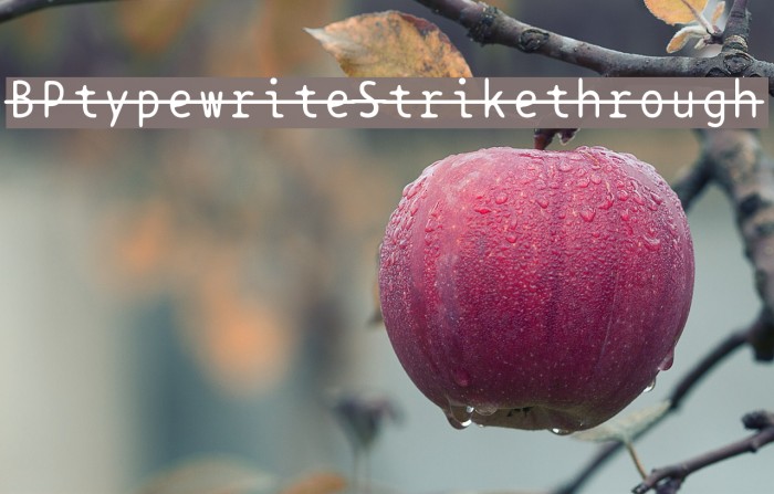 BPtypewriteStrikethrough Font examples