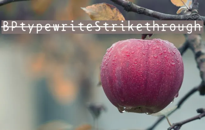 BPtypewriteStrikethrough Example 3