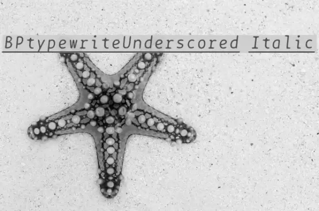 BPtypewriteUnderscored Italic Font examples