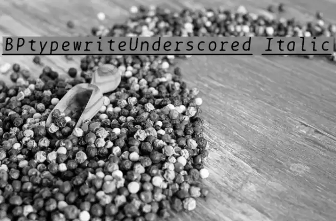 BPtypewriteUnderscored Italic Font examples