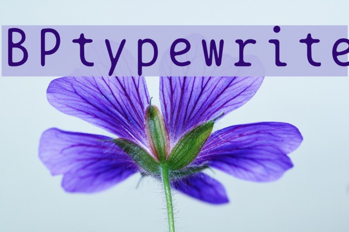 BPtypewrite Schriftart examples