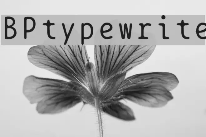 BPtypewrite Schriftart examples