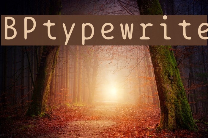 BPtypewrite Schriftart examples
