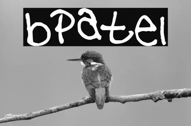 bpatel フォント examples