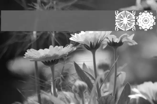 BR 4 My Dad फ़ॉन्ट examples