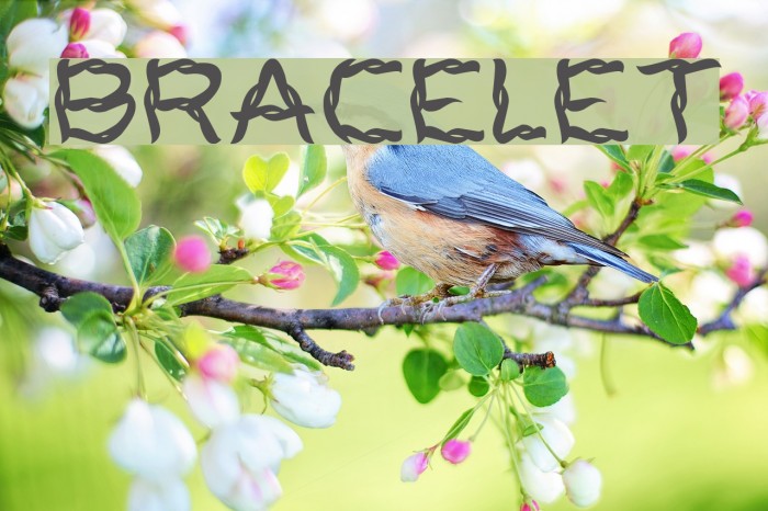 BRACELET Font examples