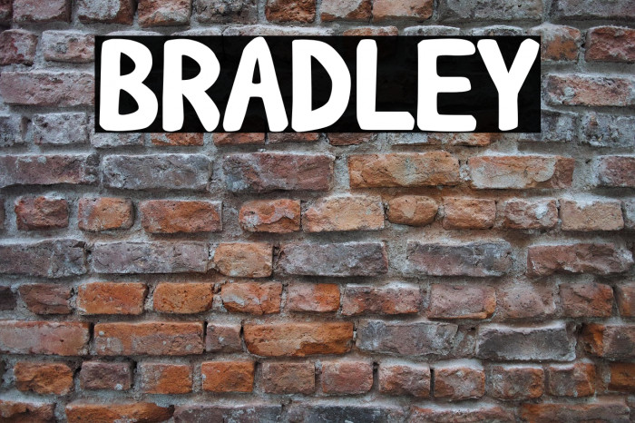 BRADLEY Example 1
