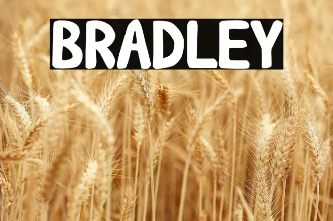 BRADLEY Example 2