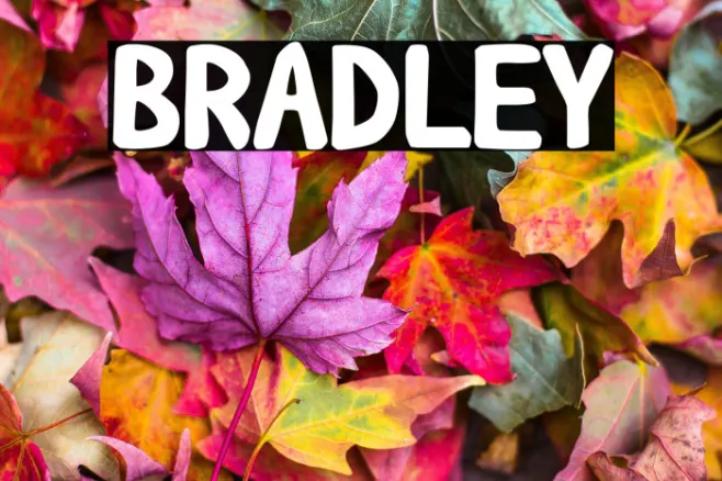 BRADLEY Example 3