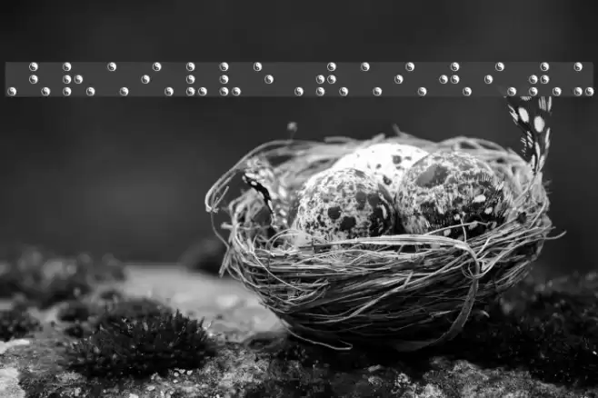 BRAILLE TAIJITU Font examples