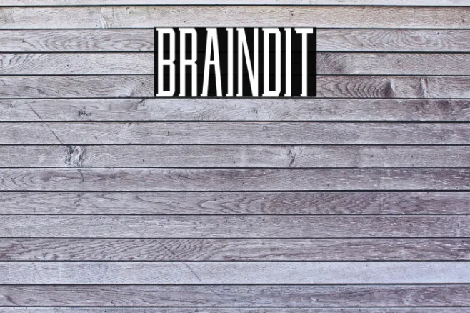 BRAINDIT Example 1