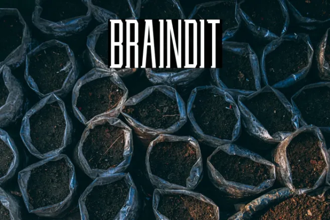 BRAINDIT Example 2