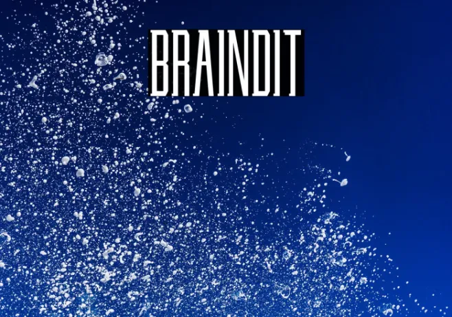 BRAINDIT Example 3