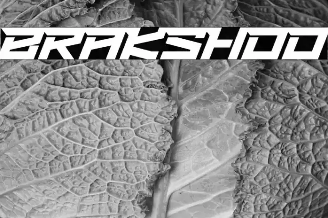BRAKSHOO Font examples
