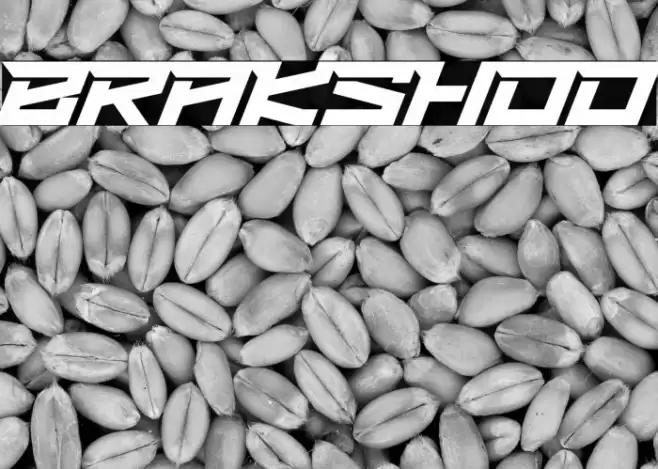 BRAKSHOO Font examples