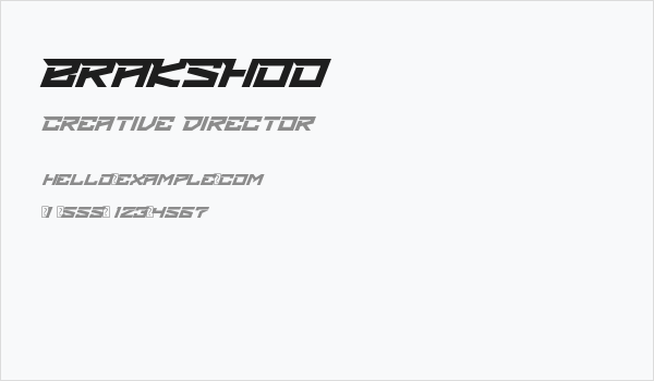 BRAKSHOO Business Card