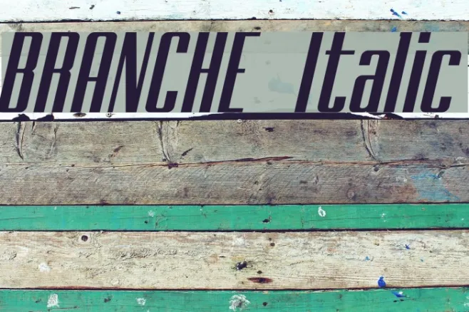 BRANCHE Italic Example 2