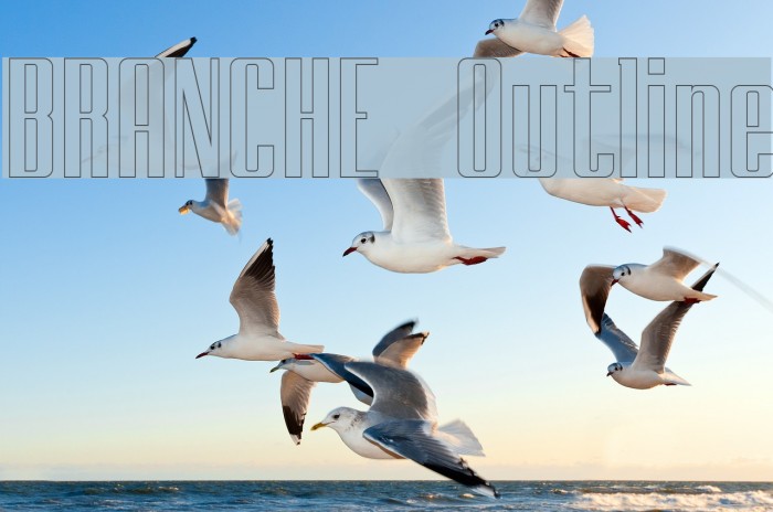BRANCHE Outline Example 2