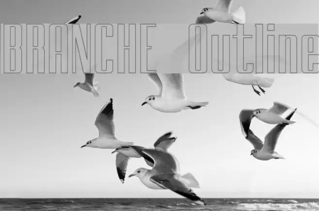 BRANCHE Outline Font examples