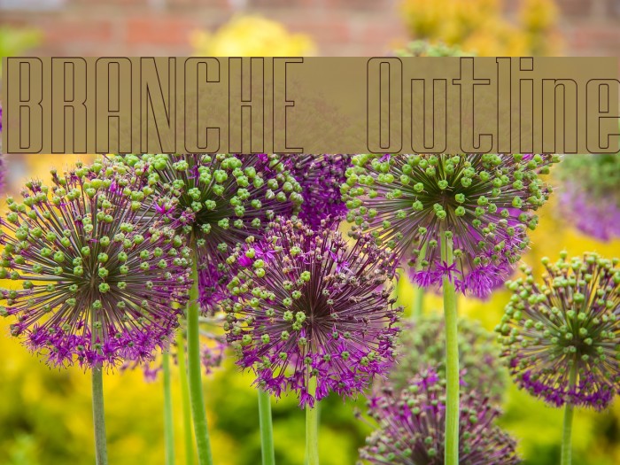 BRANCHE Outline Example 3