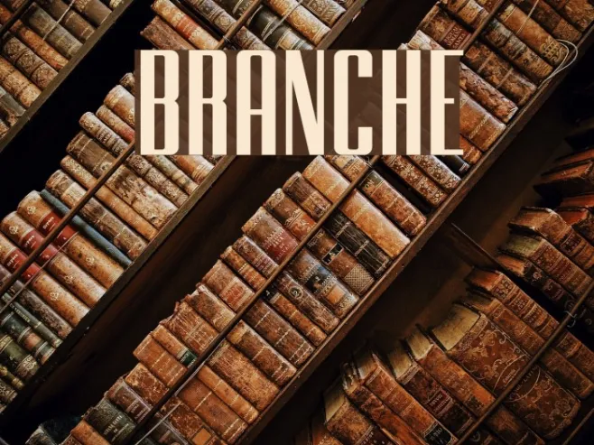 BRANCHE Example 1