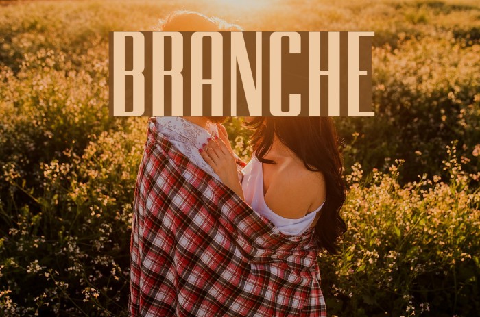 BRANCHE Font examples