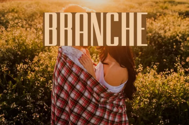 BRANCHE Example 3
