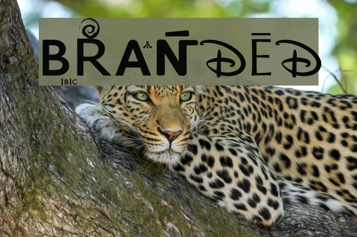 BRANDED Font examples
