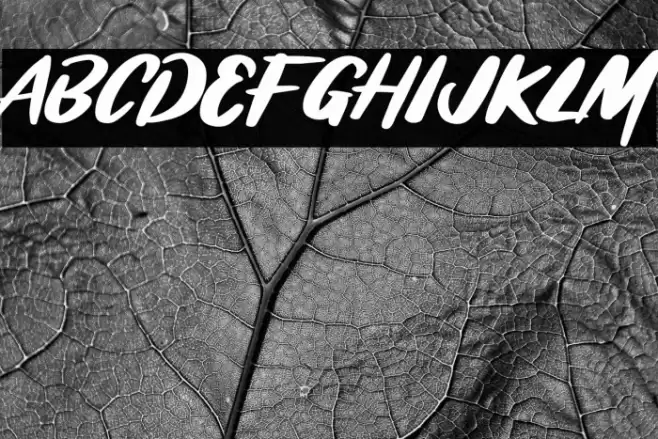 BRASHIO Font examples