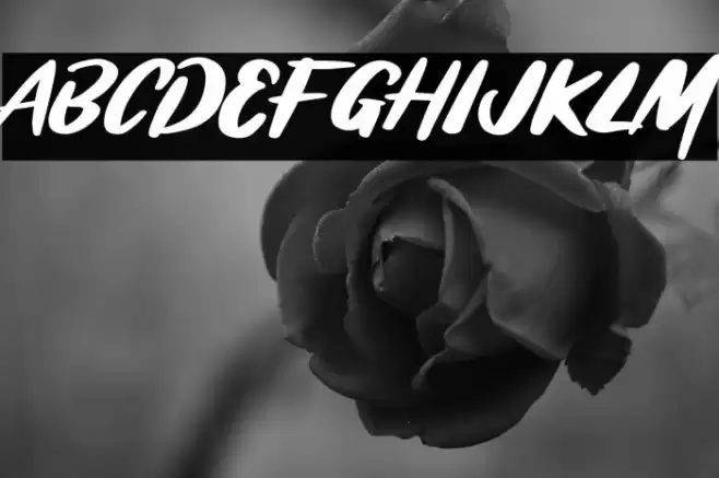 BRASHIO Font examples