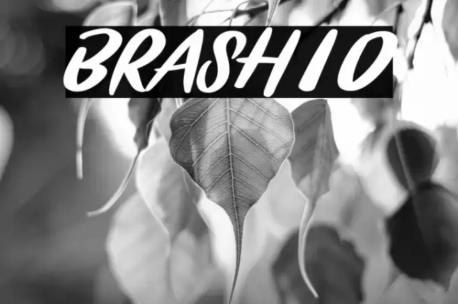 BRASHIO Font examples