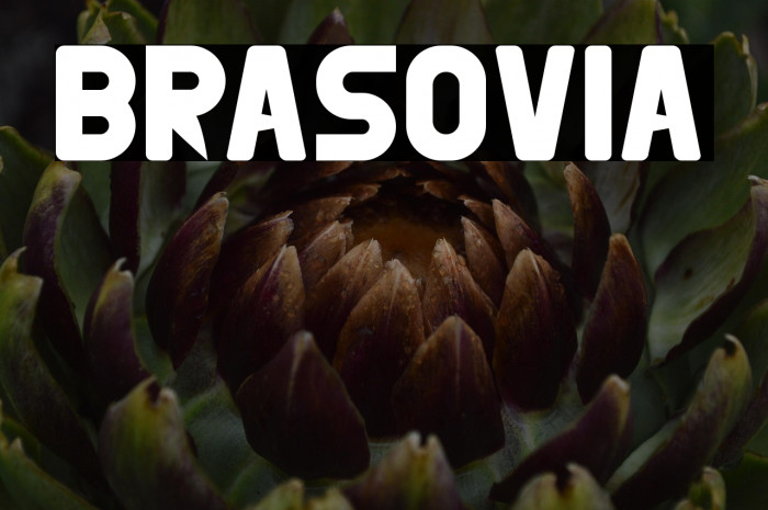 BRASOVIA Example 1