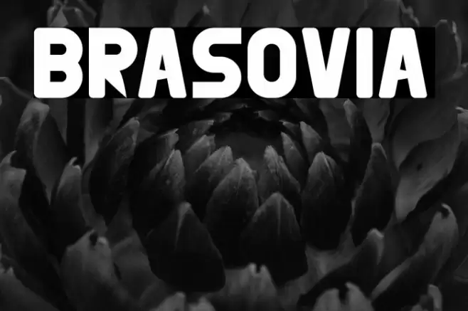 BRASOVIA Font examples