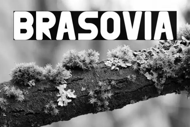 BRASOVIA Font examples