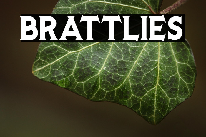 BRATTLIES Example 2
