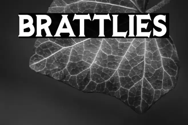 BRATTLIES Font examples