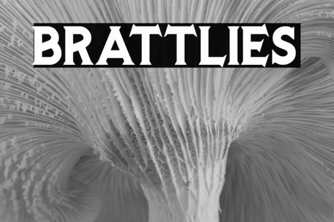 BRATTLIES Font examples