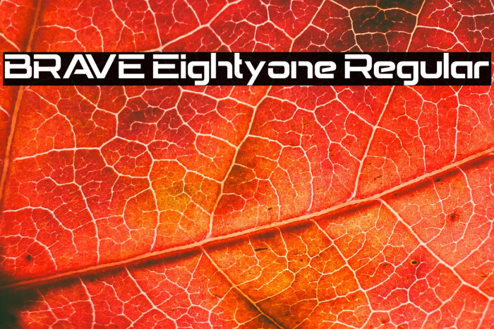 BRAVE Eightyone Regular Example 1