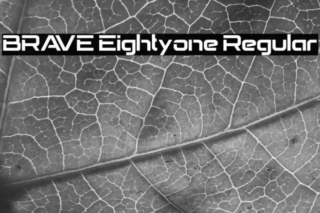 BRAVE Eightyone Regular Font examples